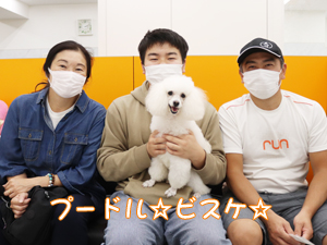 新しい家族が決まりました♪
